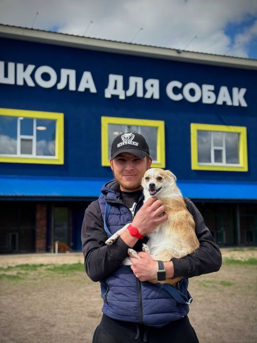 Навчання собаки . Школа собак Дред . Кінолог