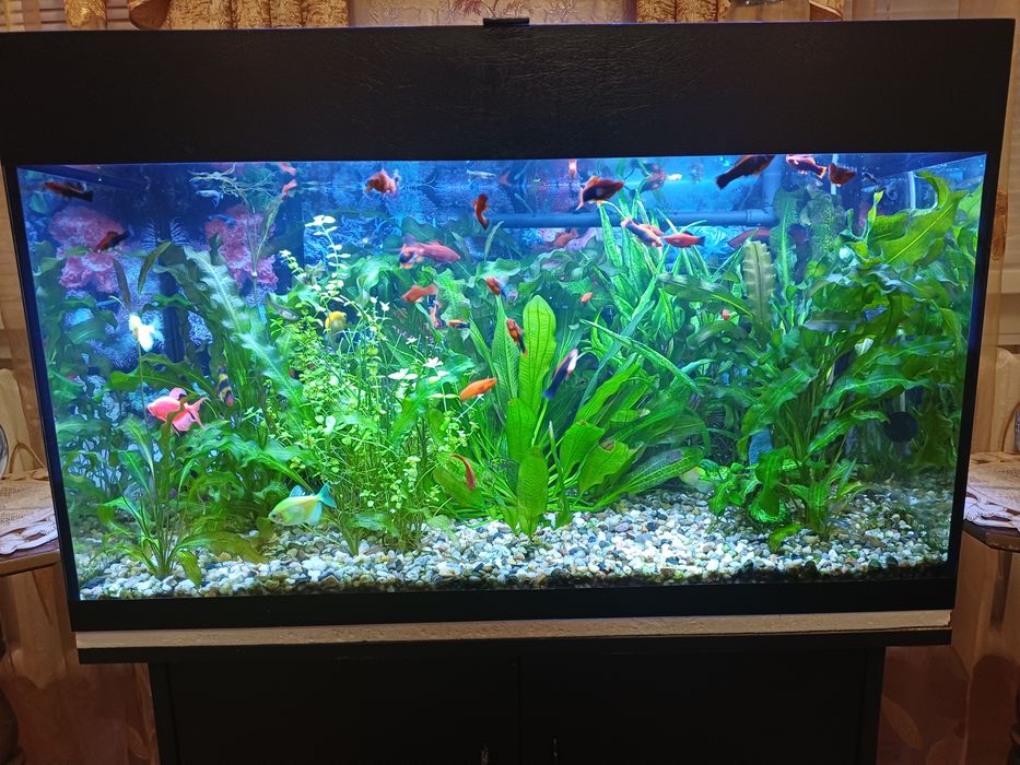 Продам акваріум 140 л