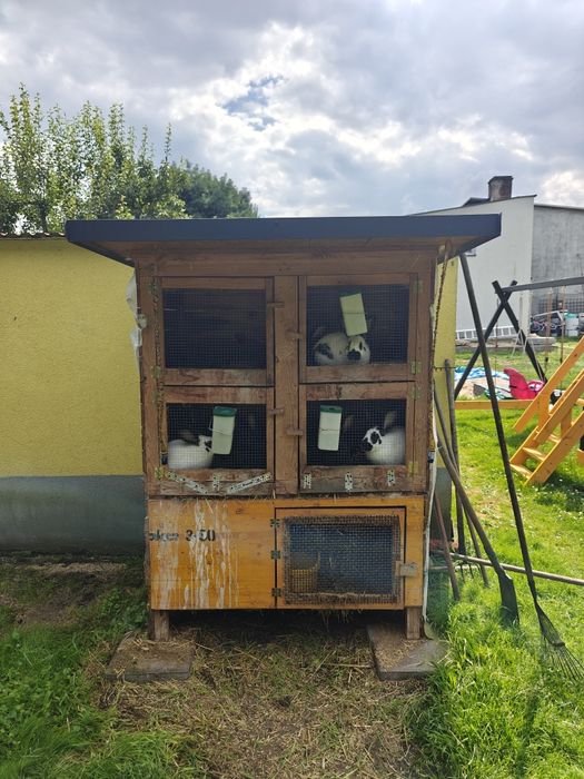 Klatka na króliki( królicorz)