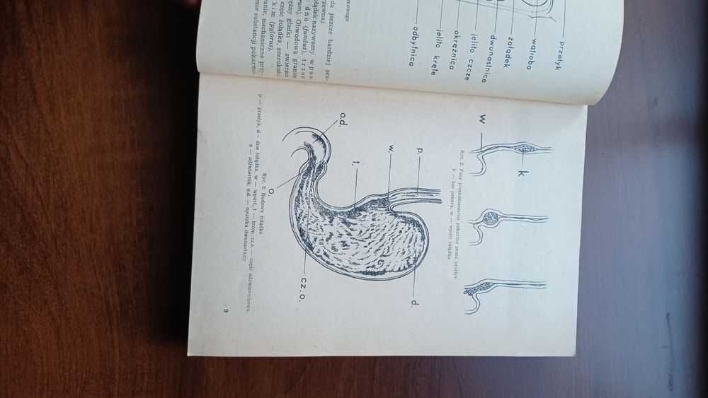 Chirurgia układu pokarmowego - podręcznik