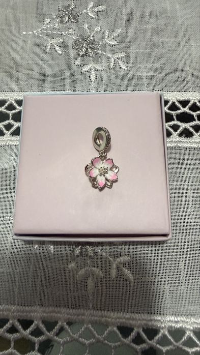 Conta Pandora prata 925