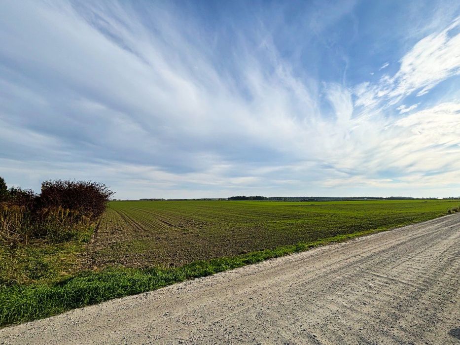 Działka działki budowlane z WZ – Czołowo k. Kórnika , 15 min do Poznania! - Widok 3