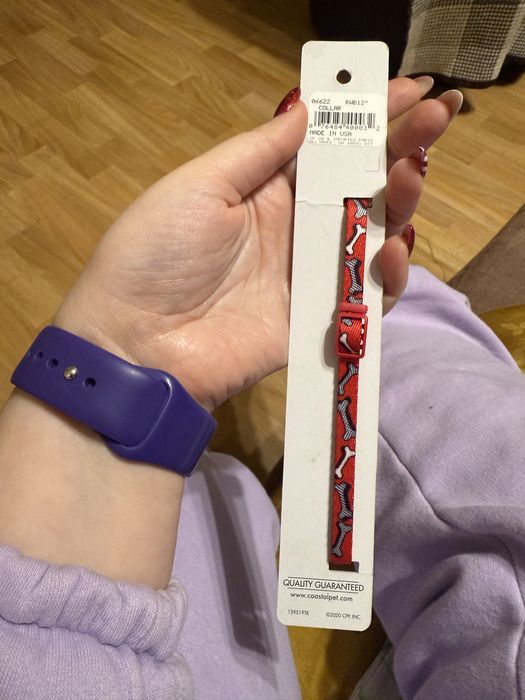 Нашийник для собаки