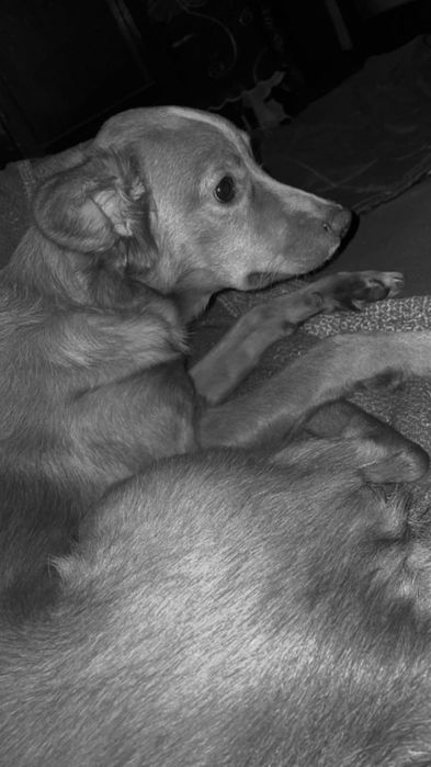 Macho bebe de 6 mesinhos