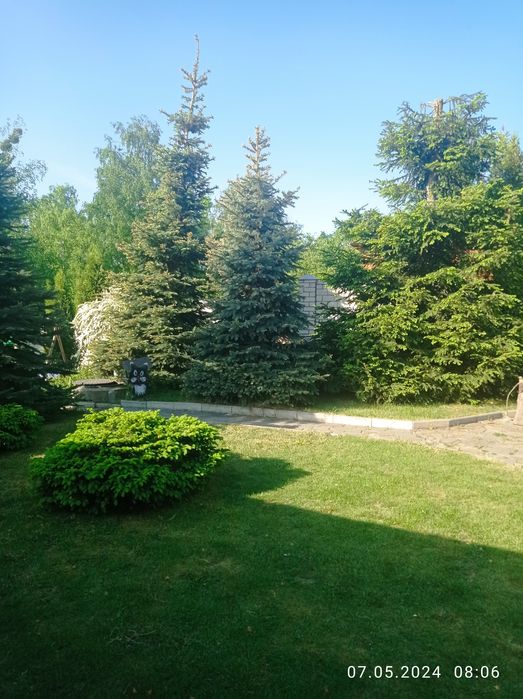 сдам дом сруб Ковбой на берегу пруда в п | Хорошево в 12км от Харькова