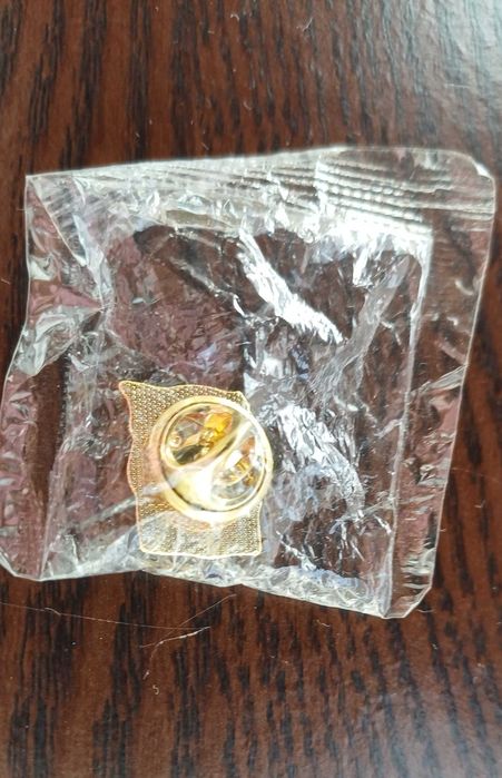 Pin União Europeia