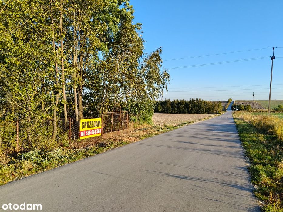 Rezerwacja Działka rolna 4317 m2, ogrodzona z sadem, Gniewięcin asfalt