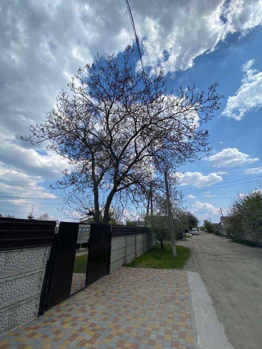 Спил деревьев Омоложение обрезка сада деревьев Корчевание пней