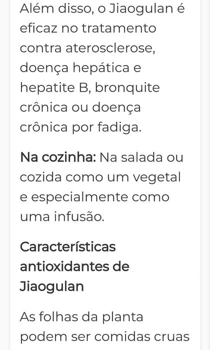 Plantas de Jiaogulan para venda