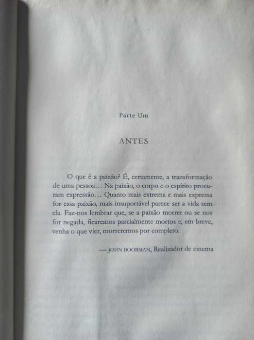 Um Estranho na Cidade - Kristin Hannah