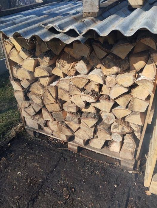 Drewno kominkowe brzoza, suche