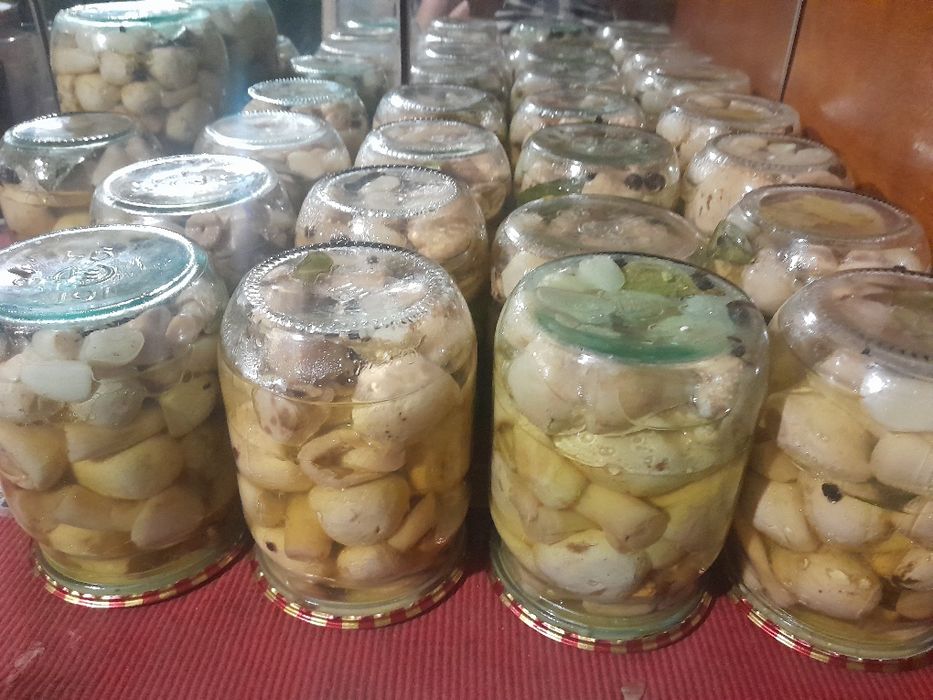 Маринованные домашние грибы