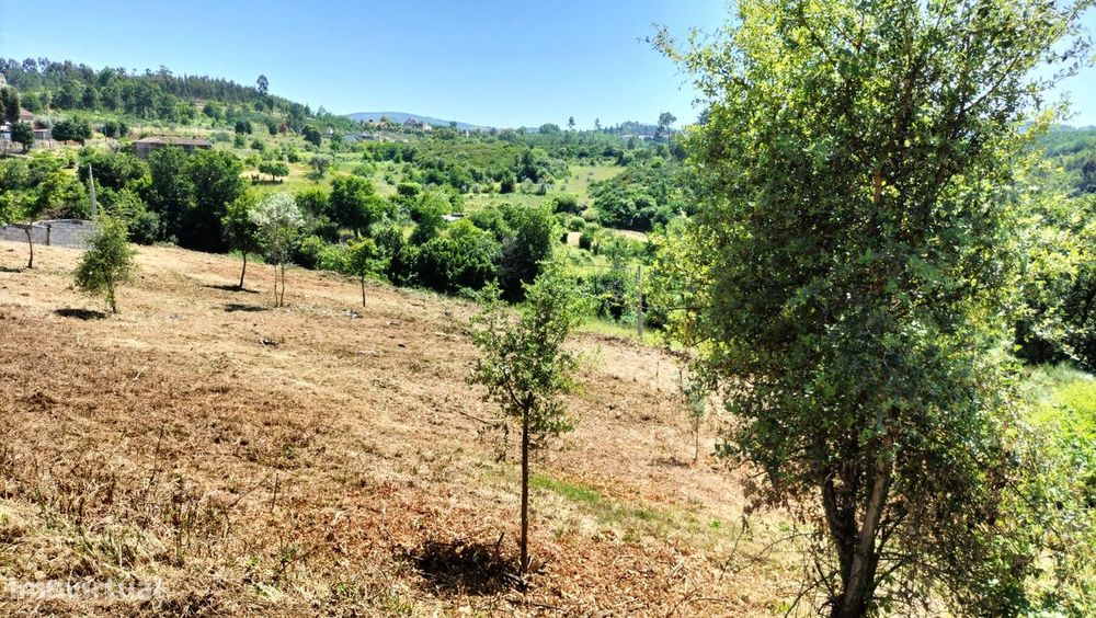 **Terreno 1475m2 p/ Construção em Torrozelo e Folhadosa**