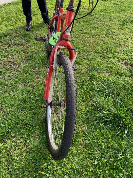 Bicicleta  para adulto