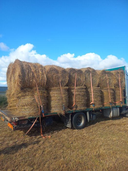 Venda de feno e palha