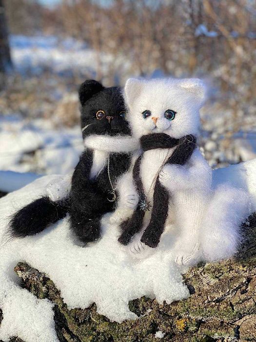 В язані коти - гармонія протилежностей, вічний союз світла і темряви