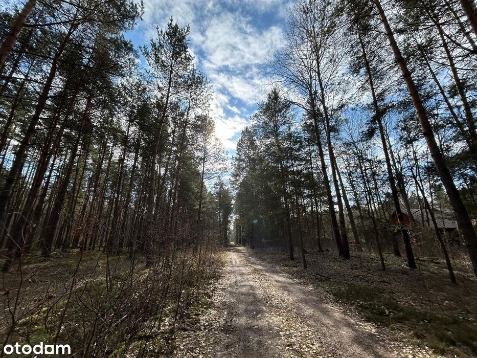 Piękna działka leśna z warunkami zabudowy