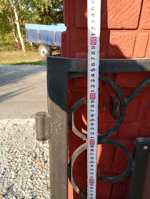 Ворота з елементами кування