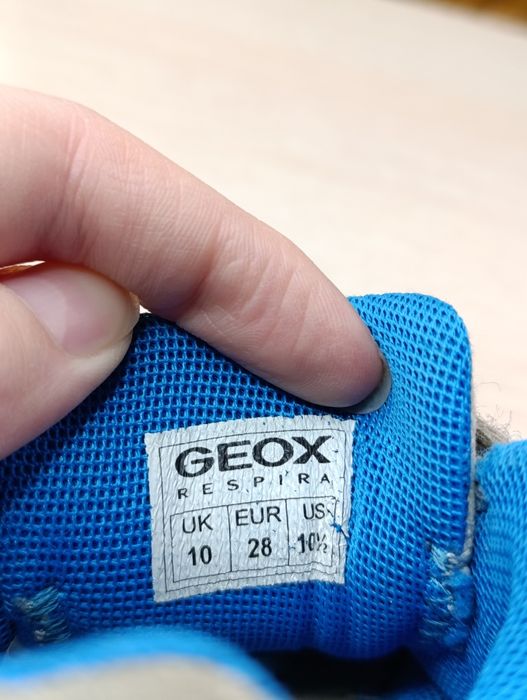 Кросівки дитячі Geox