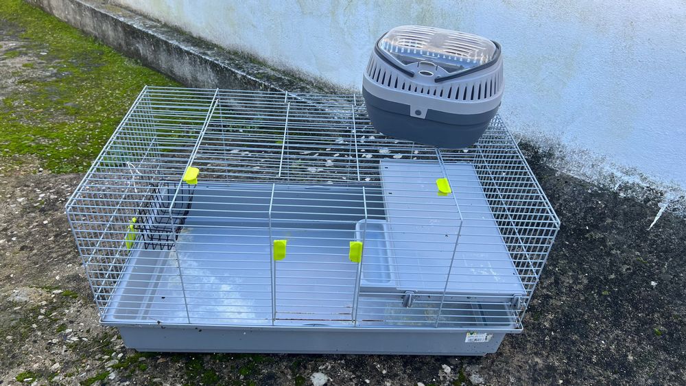 Gaiola de coelho