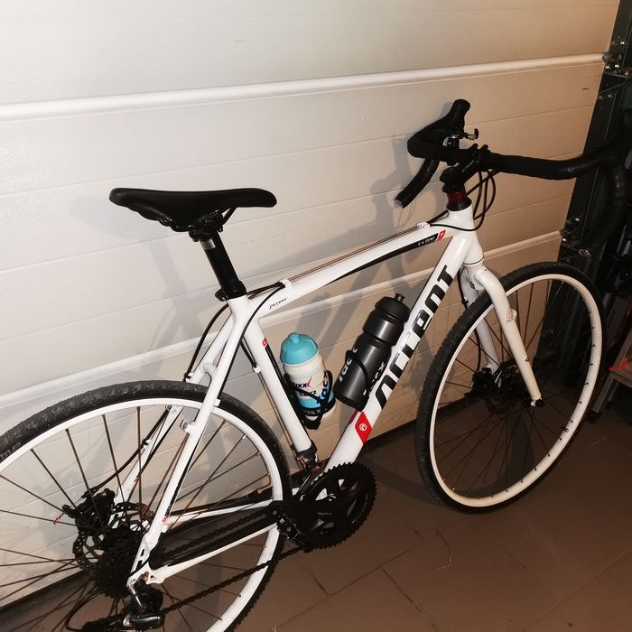 Rower Accent CX ONE 54