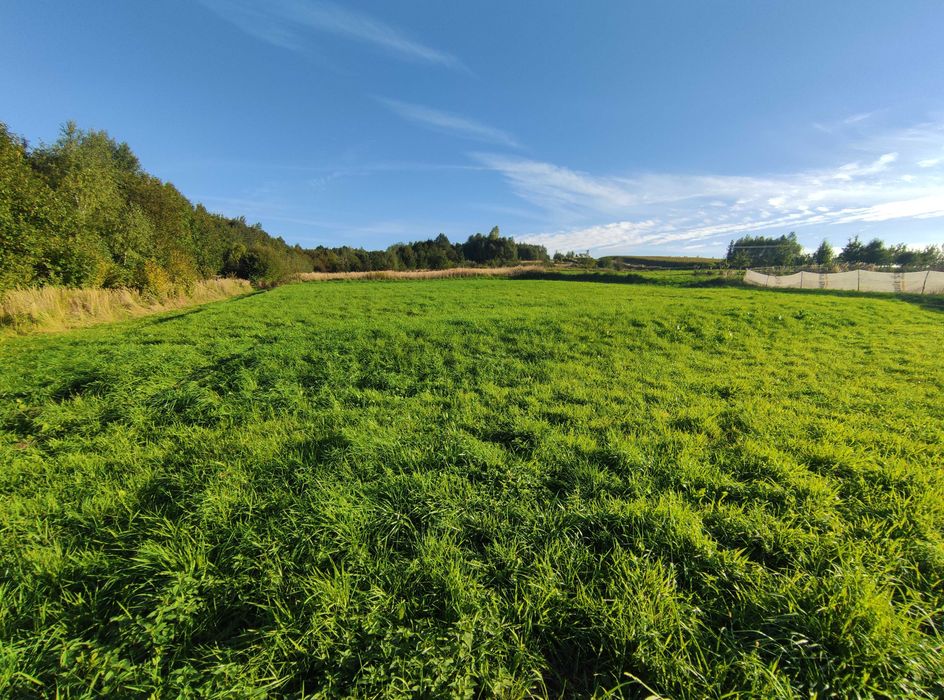 Działka rolno-budowlana 0,1747 ha  PRUCHNIK