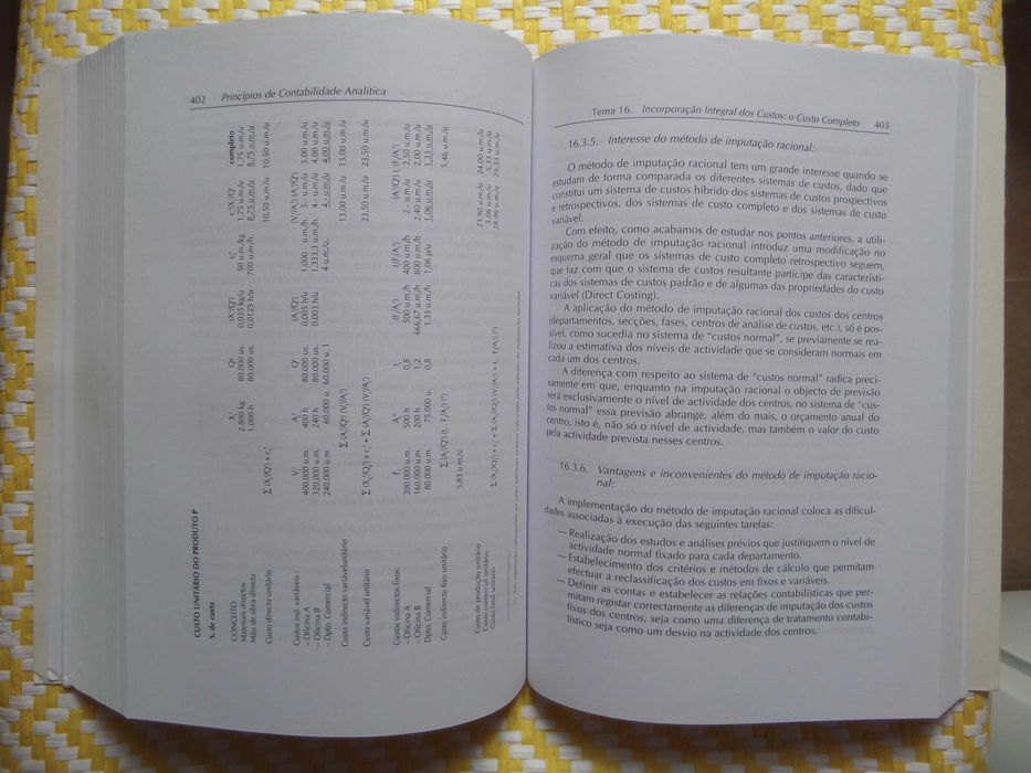 Principles of Analytical Accounting by Jesús Broto Rubio and A. Rocha64585751548547124