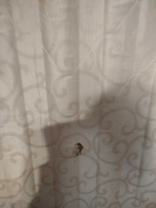 Дитяче ліжко з м'якою спинкою