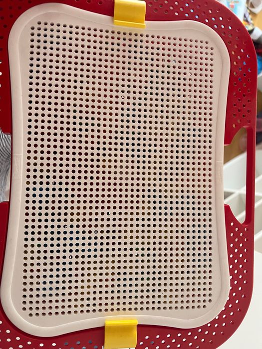 Мозаика Quercetti