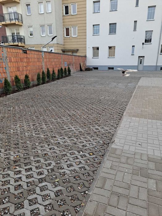 Miejsce parkingowe ul. Traugutta
