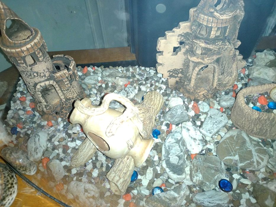 Акваріум для дома декорований 150л