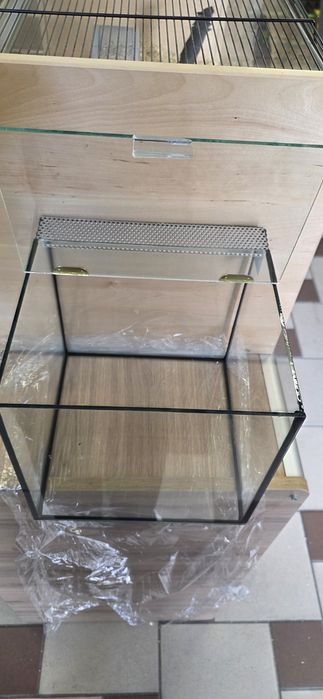 Nowe małe terarium