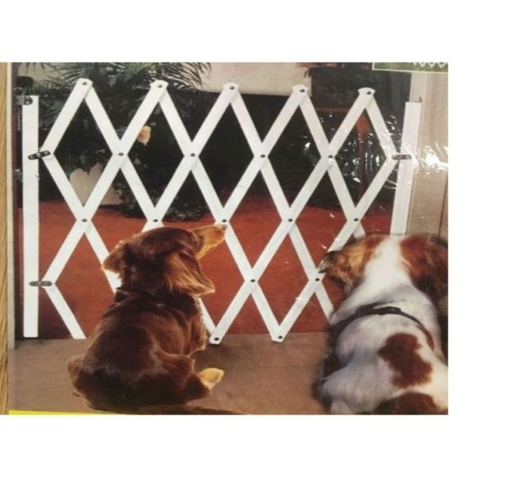 Bramka zabezpieczającą dla zwierząt