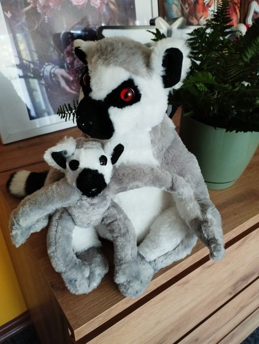 Pluszak lemur 26 cm.