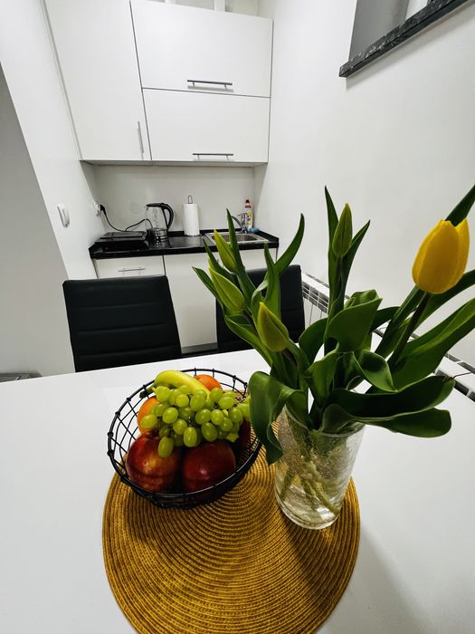 NOCLEG Żywiec okolice  Apartament Pokoje  do wynajęcia