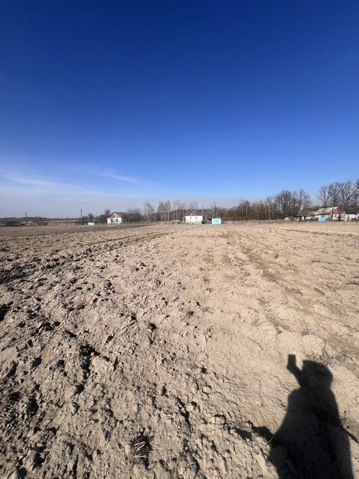 Земельна ділянка в с. Дубовець з призначенням під будівництво