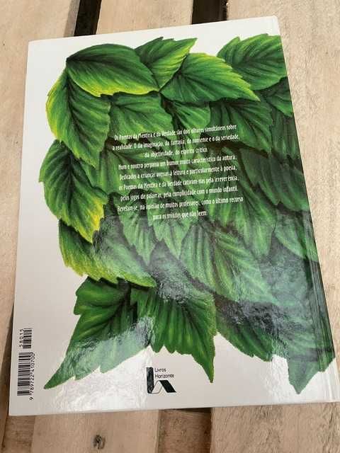 Livro Poemas da Verdade e da Mentira – Luísa Ducla Soares, Livro Horizonte