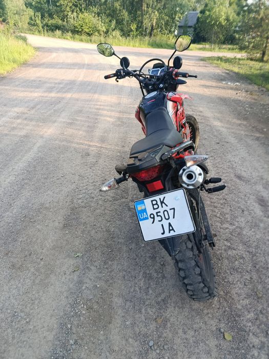 Продам лонсін прус 200