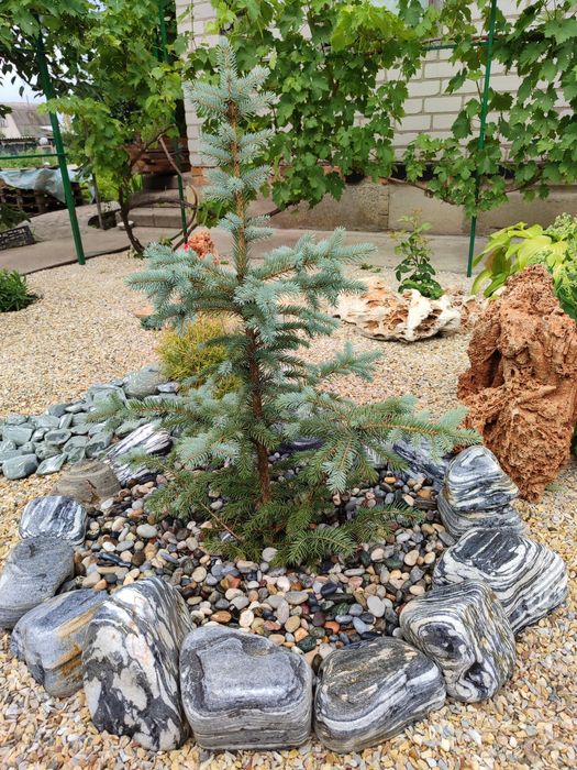 Галька мармурова, сіра з білими прожилками, галька мраморная для клумб