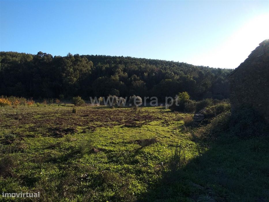 Terreno com ruina / Fundão, Enxames — Enxames, Castelo Branco