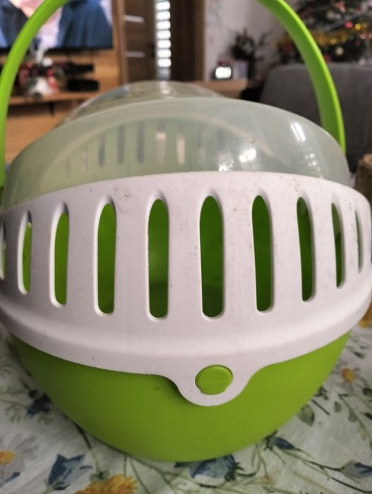 Transporter dla świnki morskiej