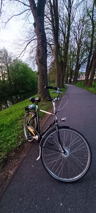 Rower męski 28 Gazelle Impala