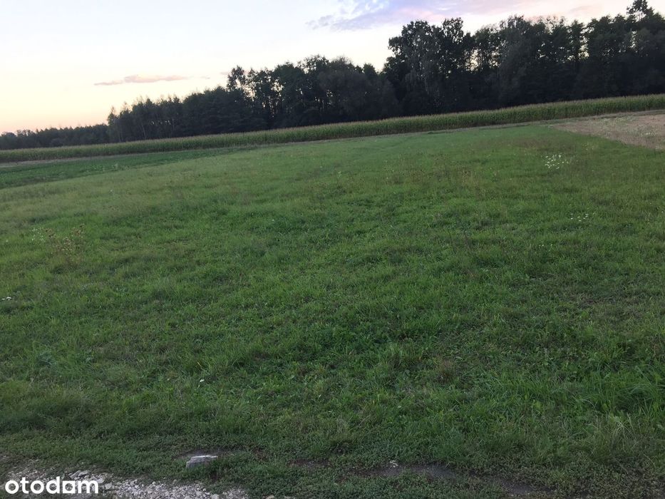 Działki rolne w Nieczajnej Górnej