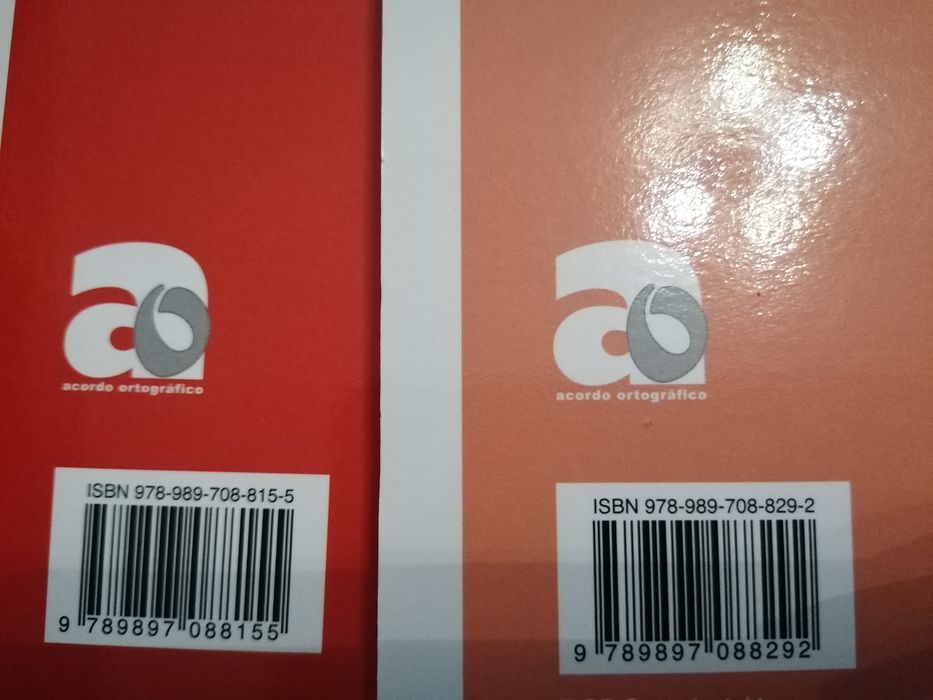 Caderno de atividades Entre nós e as palavras: Ideal para explicadores