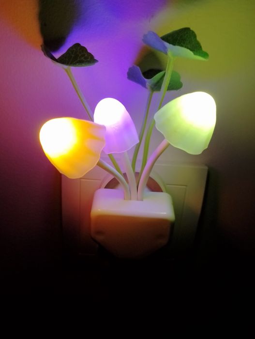 Lampka Led do kontaktu.