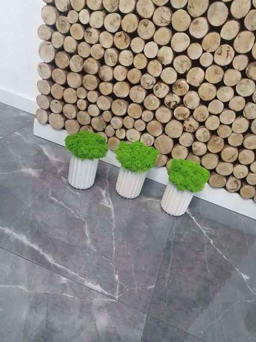 Doniczki białe z mchem chrobotkiem