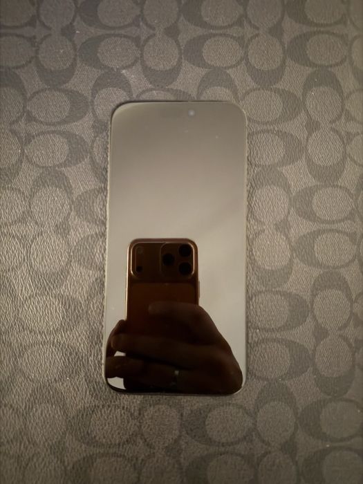 Iphone 15 pro max 256 gb