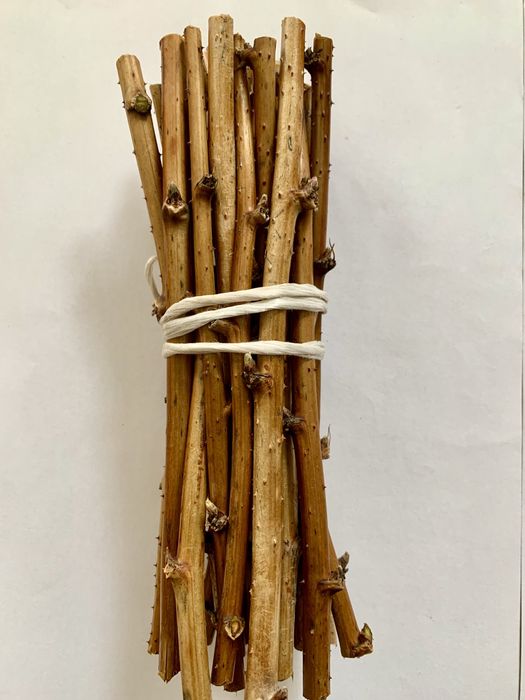 Гілочки гризунці, погризушки для домашніх улюбленців