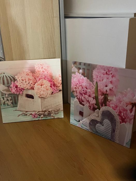 2 Quadros 50x50 bonitinhos