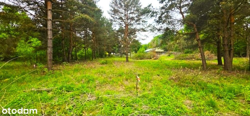 Piękna działka pod lasem Szczęsne - Więcej